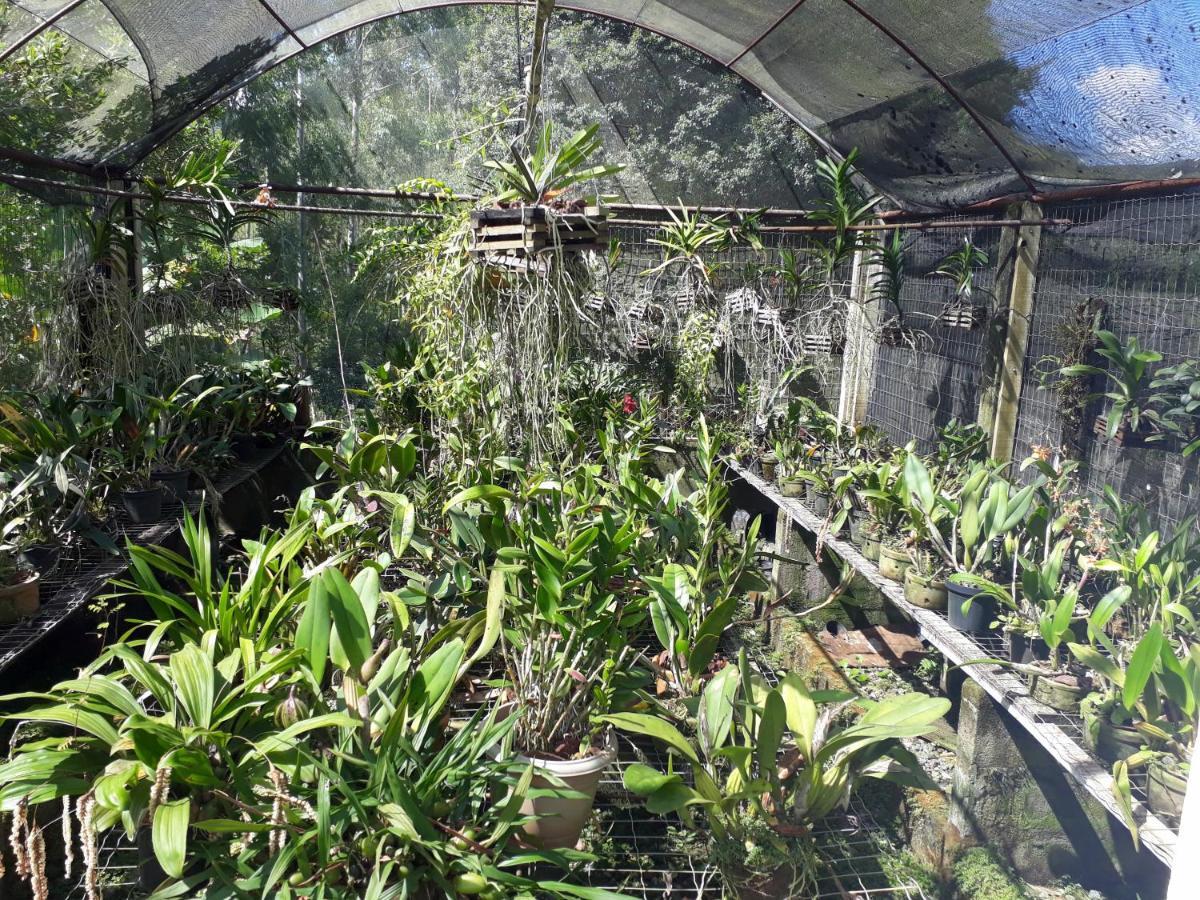 Casa/Sitio Na Serra Em Bom Jardim - Rj 外观 照片